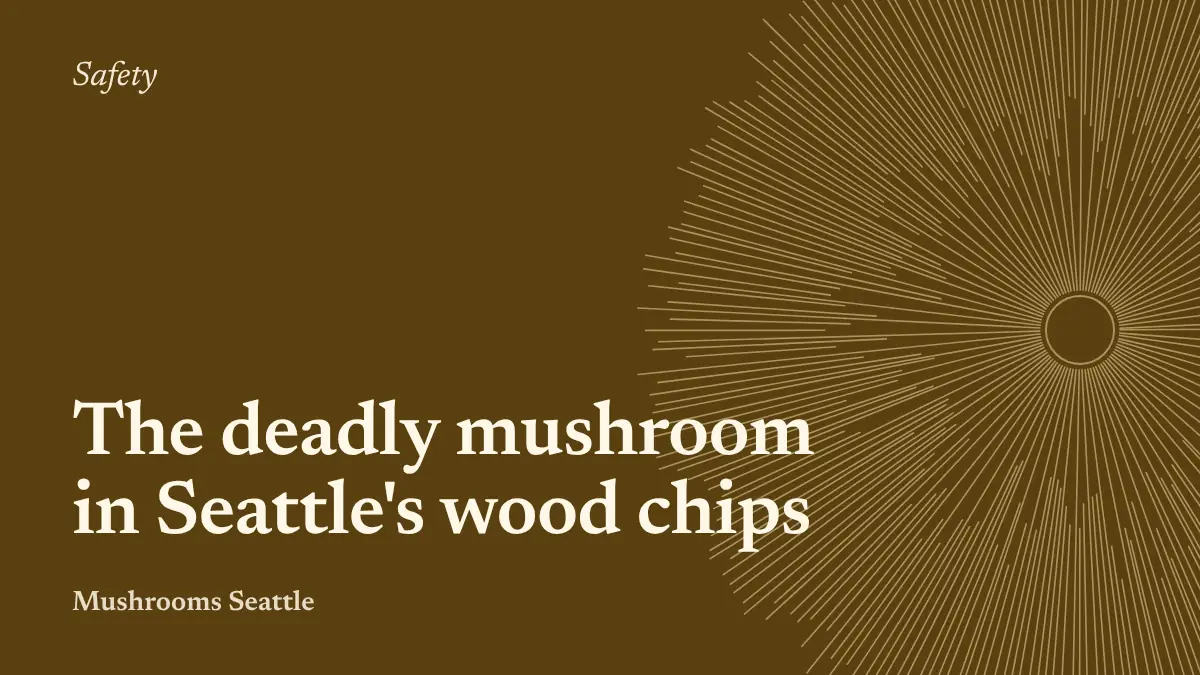 Spore-print illustration with the words: The deadly mushroom in Seattle's wood chips
